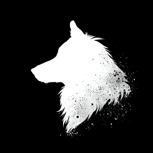 White dog's head on a black background